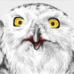 Наталья Гостева, 17.04, Сосновый Бор (поселок)