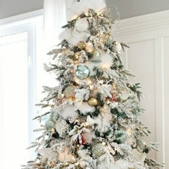 Анастасия Ветрова, Актау