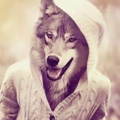 Александр Томошенко, 26.04.2000, Ставрополь