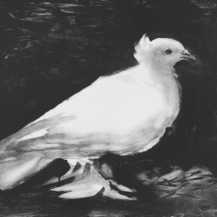 Владислав Шахов, 04.03.1988, Гатчина