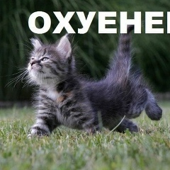 Чудо Юрчиг, 12.10, Санкт-Петербург