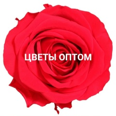 Роза Эквадор, 27.07.1970, Manta