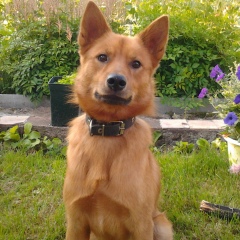 Владимир Щепотьев, 15.09.1989, Санкт-Петербург