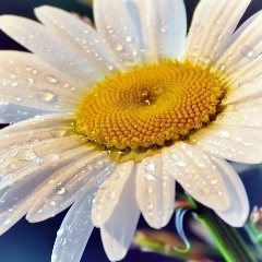 Иннуля , 14.04