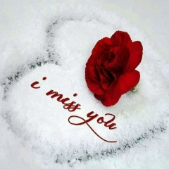 မုိး စက္, 31.07.1980