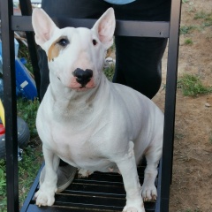 Анна Алексейчикова, 17.06.1979, Санкт-Петербург