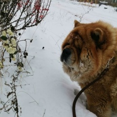 Юлия Рамазанова, 08.05