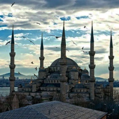 Дауд Белхароев, 03.09, Москва