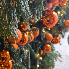 Ксюша Шапарь, 31.01, Москва