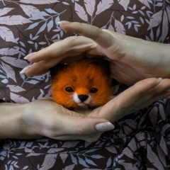 Кристина Моисейко, 23.06, Ростов-на-Дону