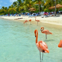 Александра Костикова, 20.12.1980, Санкт-Петербург