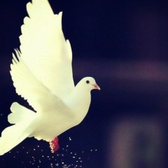 Арайлым Нурмахамбет