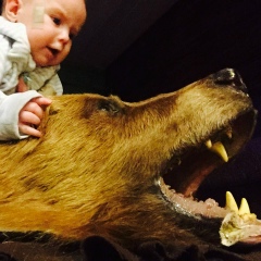 Алексей Дорофеев, Санкт-Петербург