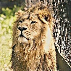 Андрей Мартынов, Рязань