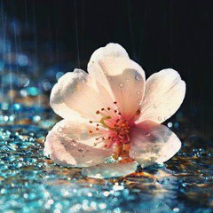 Кенже Унгарова, 19.03.1993, Алматы