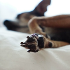 Ярослав Пулин, 11.05.1990, Киев