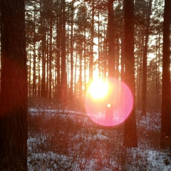Владимир Кузнецов, Иркутск