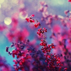 Асем Мусапирова, 16.02, Алматы