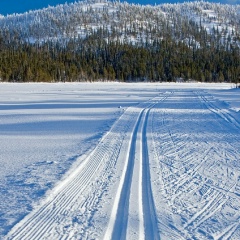 Надежда Коновалова, 30.10, Ноябрьск
