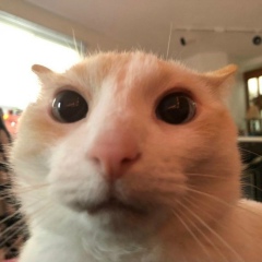 Ева Коркина, 15.09.2000, Воскресенск