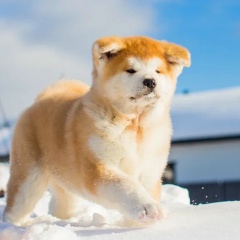 Людмила Терентьева, 14.09.1984, Москва