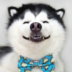 Мага Дударов, 26.08.1996, Грозный