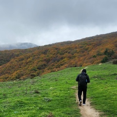 Джабраил Садыков, Дербент