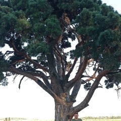 Артём Константинович, 08.04, Уфа