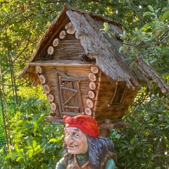 Оля Нос, Волжский