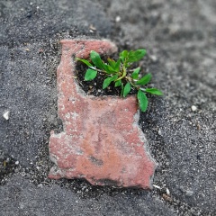 Екатерина Капулкина, 03.09, Санкт-Петербург