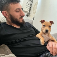 Армен Оганнисян, 11.12, Paris