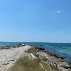 Дмитрий Доброта, 11.12