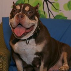 Константин Пошибайлов, 18.06, Санкт-Петербург