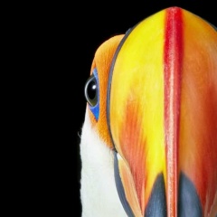 Юлиана Громова, 30.05.1993, Екатеринбург