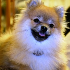 Юлия Слыщенко, 01.07, Нижний Новгород