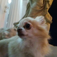 Marika Zakranzhevskaya, 28.10, Санкт-Петербург