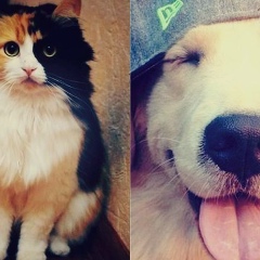 Иван Провков, 28.11, Москва