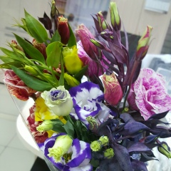 Иришка Рашидова