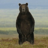 Александр Копанов, 15.10.1988