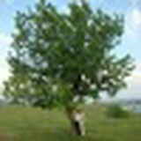 Лия Губайдуллина, 07.04