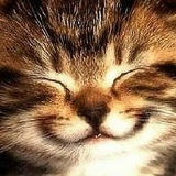 Александр Бондарев, Барнаул