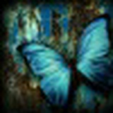 El Cave, Краснодар