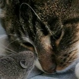 Александра Коновалова, 15.12.1991, Москва