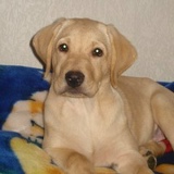 Татьяна Тирановец-Полын, 12.12.1990, Киев