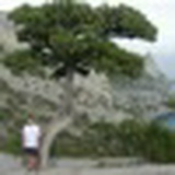 Андрей Анисимов, 20.12.1990, Санкт-Петербург