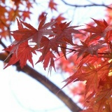 Natasha Glazovskaya, 15.04, Санкт-Петербург