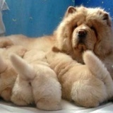 Галя Сидоренко, 15.08.1987, Киев