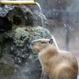 Илья Филиппов, Санкт-Петербург