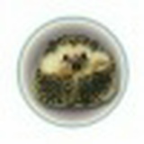 Евгений Тирацуян, 12.08.1986, Ростов-на-Дону