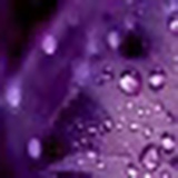 Юлия Олейникова, 13.12.1978, Алматы